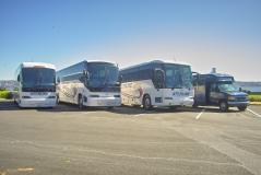 Starline Collection