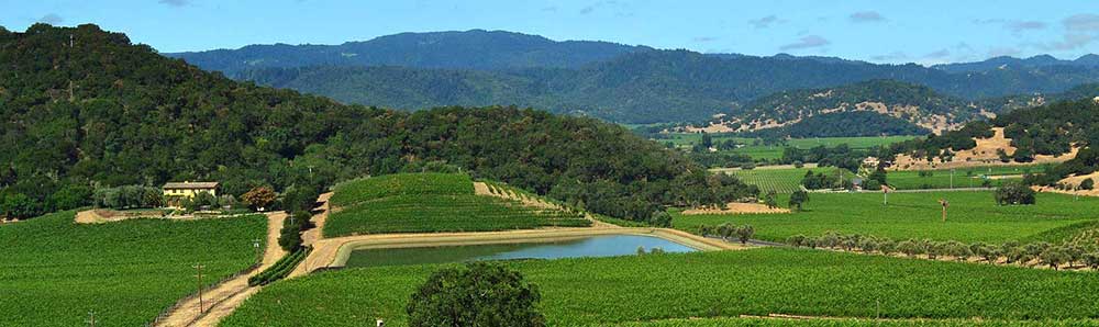 Plan a Fun and Memorable Wine Tour for Corporate Events and Outings with Friends featured image